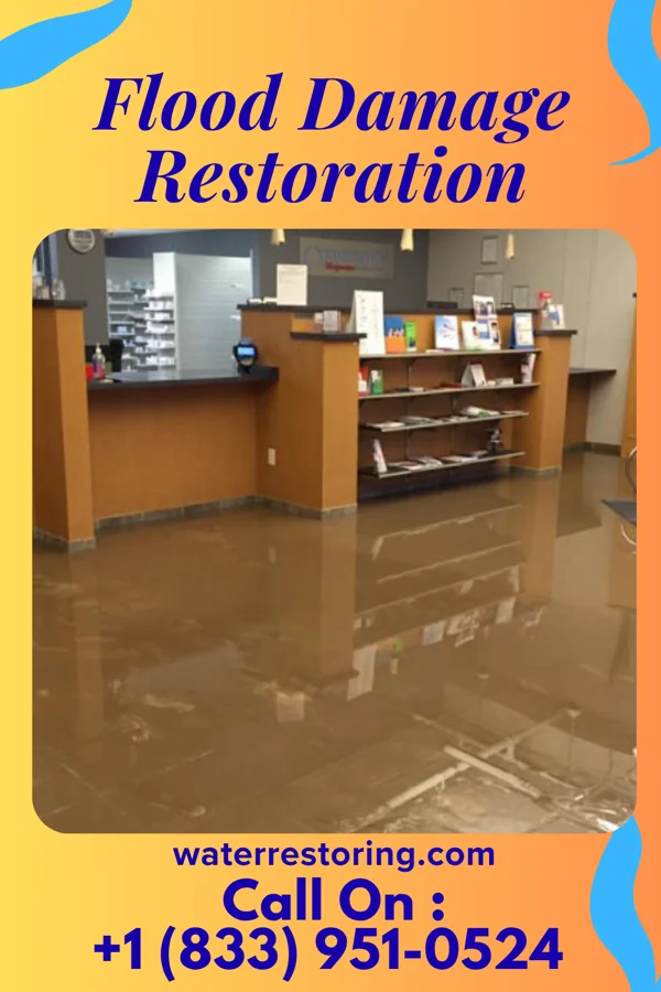 Flood Damage Restoration in Pine Bend, MN